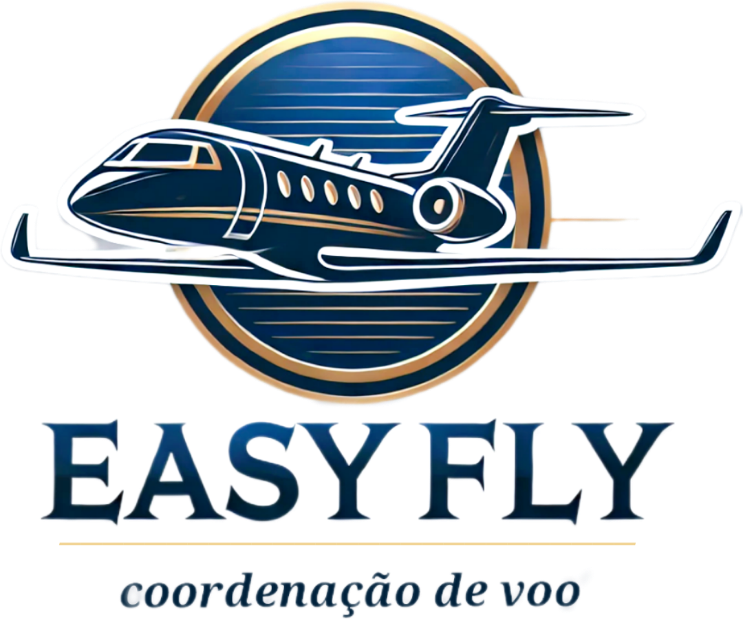 Easy Fly Logo